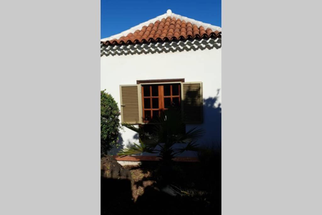 Villa La Paz Puerto de la Cruz  Exterior foto