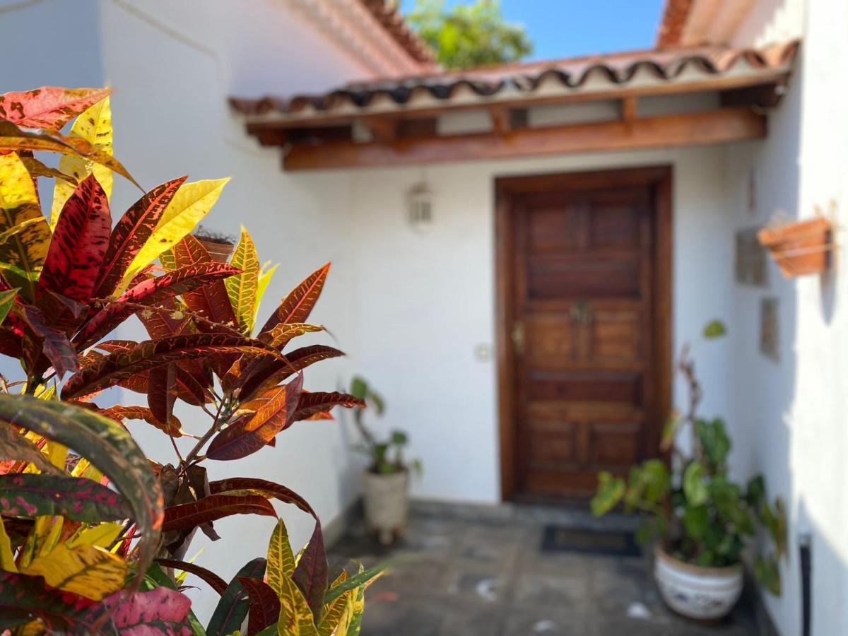 Villa La Paz Puerto de la Cruz  Exterior foto
